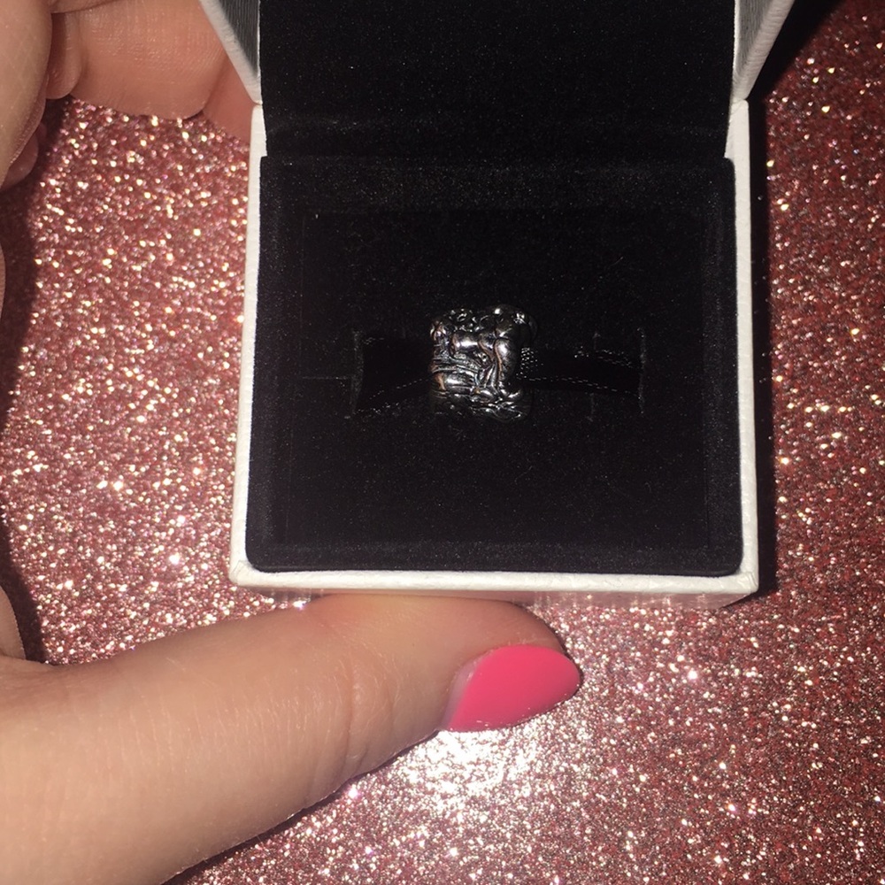 RETIRED PANDORA CHARM